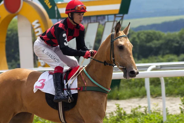 ピャチゴルスクでの競馬 — ストック写真