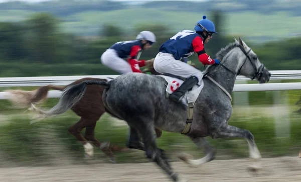 Carreras de caballos en Pyatigorsk —  Fotos de Stock