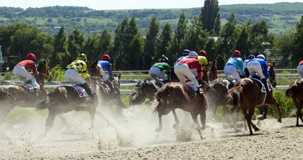 Carreras de caballos en Pyatigorsk —  Fotos de Stock