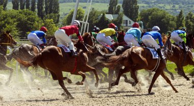 Pyatigorsk 'ta at yarışı