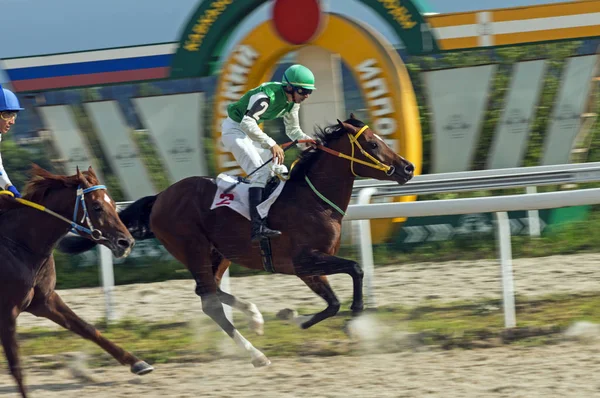 Paardenrennen in Pyatigorsk — Stockfoto