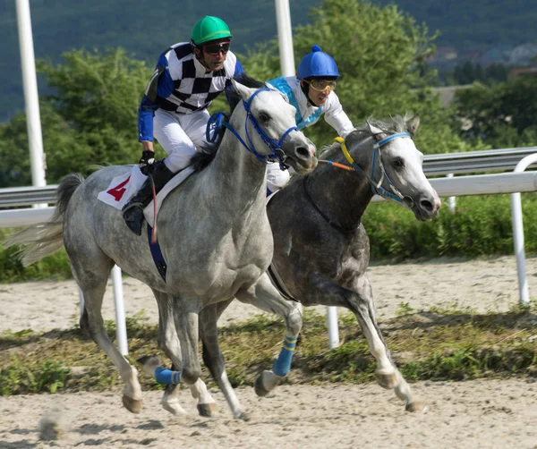 Hästkapplöpning i Pyatigorsk — Stockfoto