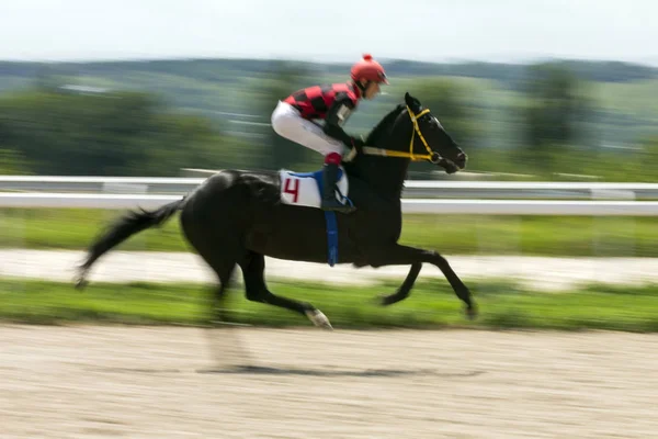 Slutför hästkapplöpning — Stockfoto