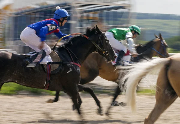 Paardenrace in Pyatigorsk — Stockfoto