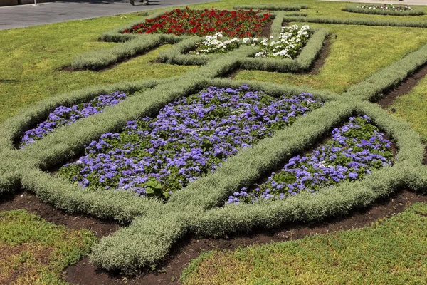 Blumenbeet in Yerevan. — Stockfoto