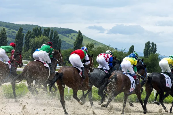 Horse race i Pyatigorsk — Stockfoto