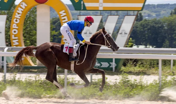 Corrida de cavalos em Pyatigorsk — Fotografia de Stock