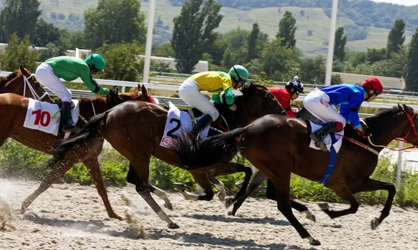 Corrida de cavalos em Pyatigorsk — Fotografia de Stock