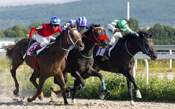 Horse race in Pyatigorsk Stock Image