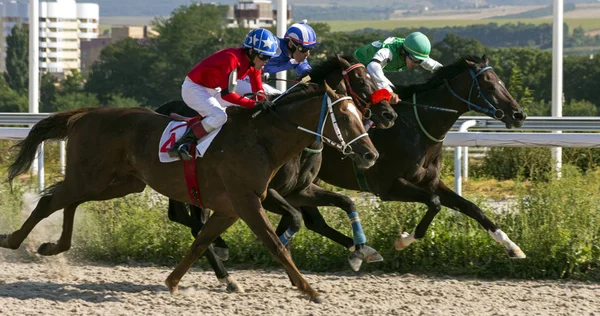 Horse race in Pyatigorsk Royalty Free Stock Photos