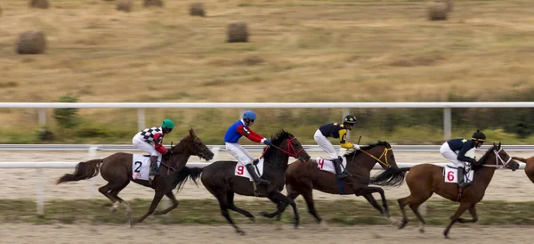 Course de chevaux à Pyatigorsk — Photo