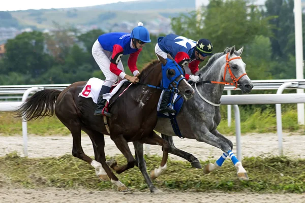 Corrida de cavalos em Pyatigorsk — Fotografia de Stock