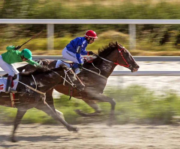 Pferderennen in Pjatigorsk — Stockfoto