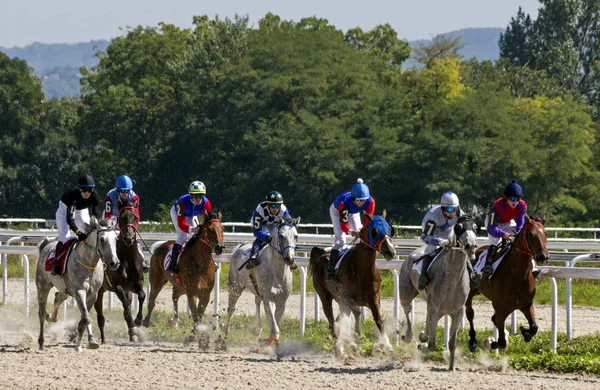 Corrida de cavalos em Pyatigorsk — Fotografia de Stock