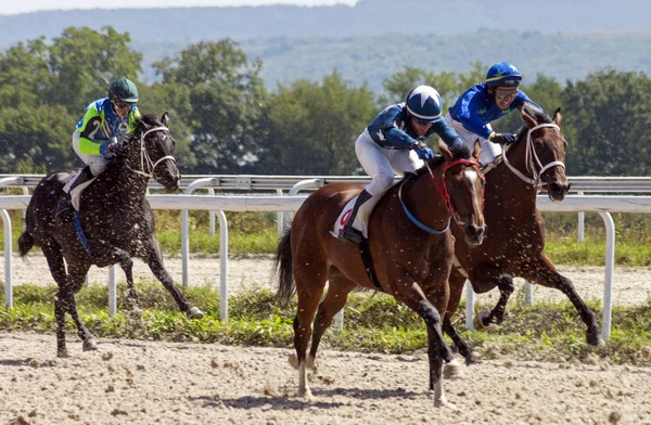 Corrida de cavalos em Pyatigorsk — Fotografia de Stock