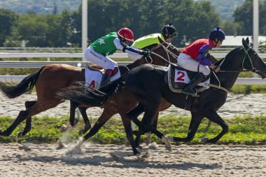 Pyatigorsk 'ta at yarışı