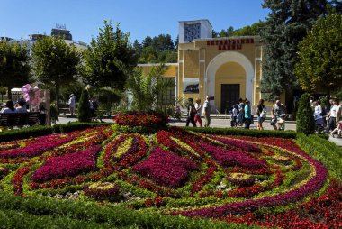 Kislovodsk güzel flowerbed