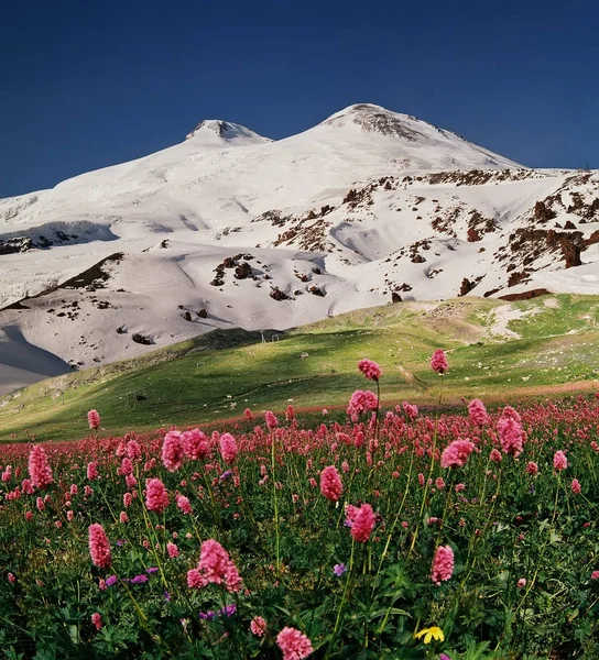 Θέα βουνό Elbrus — Φωτογραφία Αρχείου