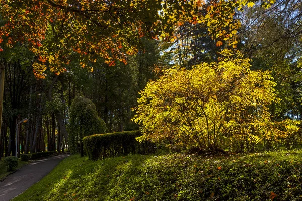 Der goldene Herbst in Kislowodsk — Stockfoto