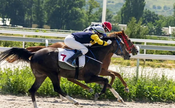 Carrera de caballos en Pyatigorsk — Foto de Stock