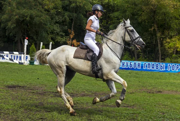 Un giovane cavaliere su un cavallo grigio si prepara a saltare oltre un ostacolo . — Foto Stock