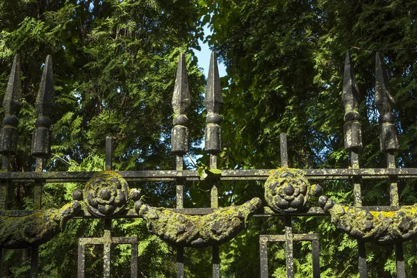Ozdobne ogrodzenia żeliwne. — Zdjęcie stockowe