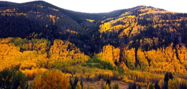sonbahar Colorado