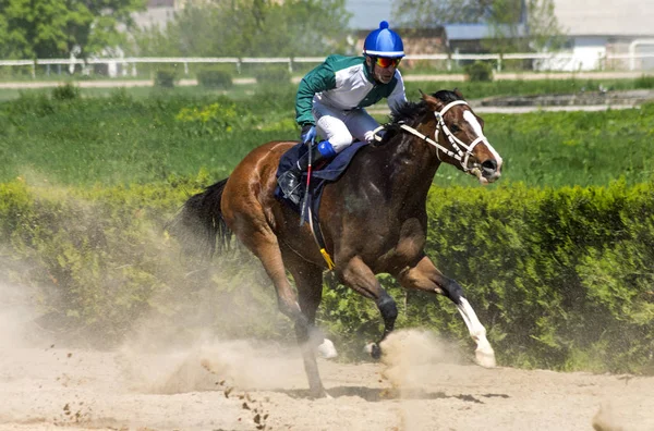 Paardenrennen voor de prijs van de Probni"". — Stockfoto