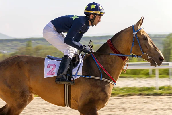 Paardenrennen voor de prijs van de Vstupitelni"". — Stockfoto