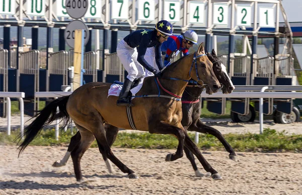 Carreras de caballos para el premio de la "Inauguración de la temporada de carreras ". — Foto de Stock