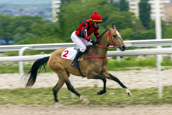 Horse racing dla Nagroda "Probni". — Zdjęcie stockowe