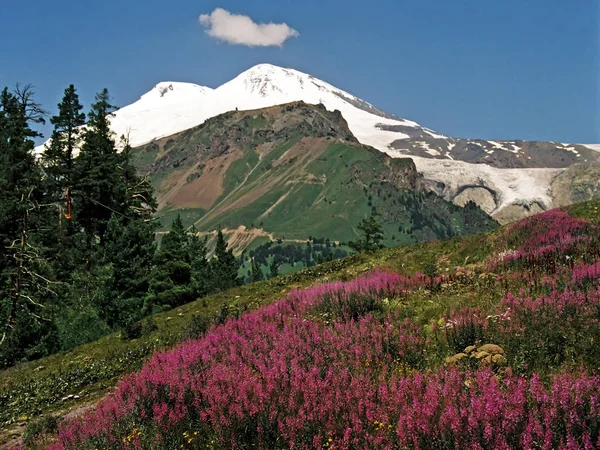 Elbrus - sztratovulkán a Közép-Kaukázusban. — Stock Fotó