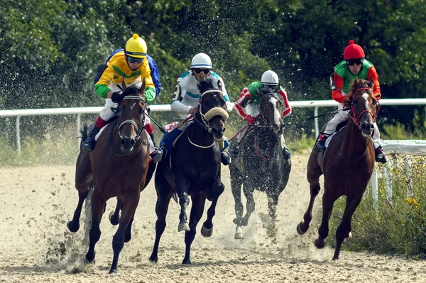 Corrida de cavalos em Pyatigorsk . — Fotografia de Stock