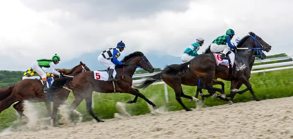 Carrera de caballos en Pyatigorsk . — Foto de Stock