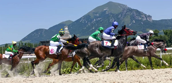 Horse race i Pyatigorsk. — Stockfoto