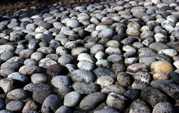 Rounded pebbles closeup. — ストック写真