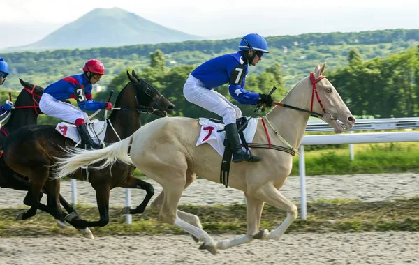 Carrera de caballos en Pyatigorsk . — Foto de Stock