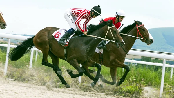 Horse race i Pyatigorsk. — Stockfoto