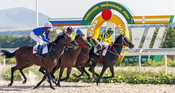 Paardenrace in Pyatigorsk. — Stockfoto