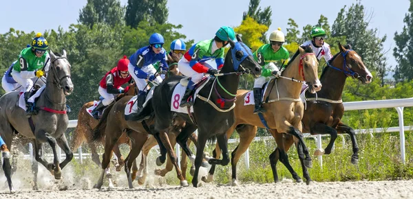 Wyścigów konnych w mieście Pyatigorsk. — Zdjęcie stockowe