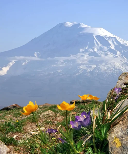 Uma Bela Vista Mountain Ararat Durante Dia — Fotografia de Stock