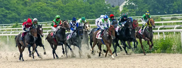 Pyatigorsk Rússia Junho 2014 Corrida Cavalos Para Prêmio Big Summeri — Fotografia de Stock