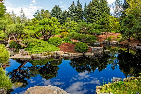 Vista Del Estanque Del Jardín Botánico Denver Colorado —  Fotos de Stock