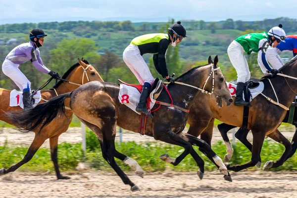 Pyatigorsk Russia May 2020 Finish Horse Race Race Season Opening — стокове фото