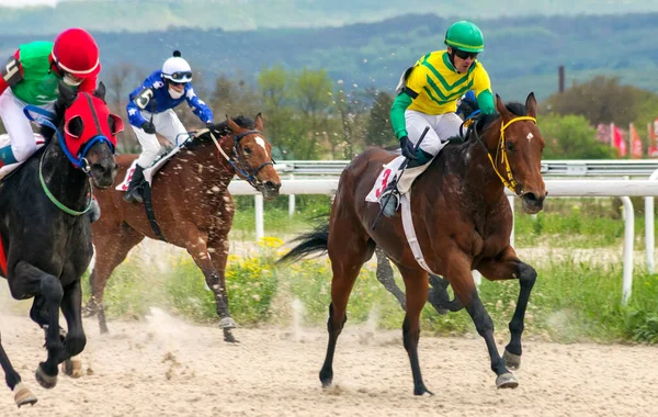 Pyatigorsk Russia May 2020 Finish Horse Race Victory Day Prize Stock Picture