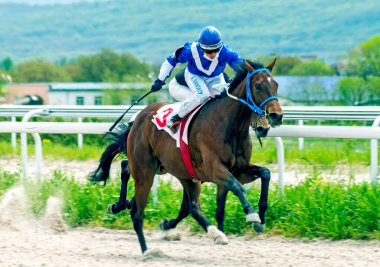 PYATIGORSK, RUSSIA - 10 Mayıs 2020: Pyatigorsk Hipodromu Yarış Sezonu Açılış Ödülü için at yarışı, Kuzey Kafkasya, Rusya.