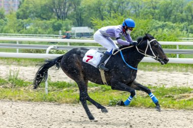 PYATIGORSK, RUSSIA - 17 Mayıs 2020: Pyatigorsk Hipodromu 'nun 