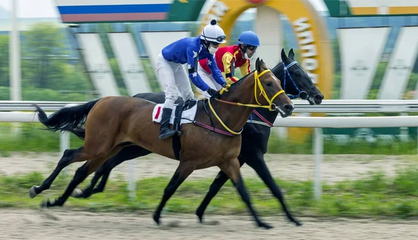 Pyatigorsk Russia May 2020 Finish Horse Race Trial Prize Pyatigorsk — стокове фото