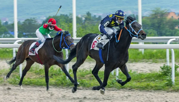 Pyatigorsk Rússia Maio 2020 Corrida Cavalos Para Prêmio Restritivo Hipódromo — Fotografia de Stock