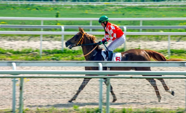 Pyatigorsk Russia May 2020 Pyatigorsk Hippodrome Jockey Tarasov Yegor Mare — 스톡 사진